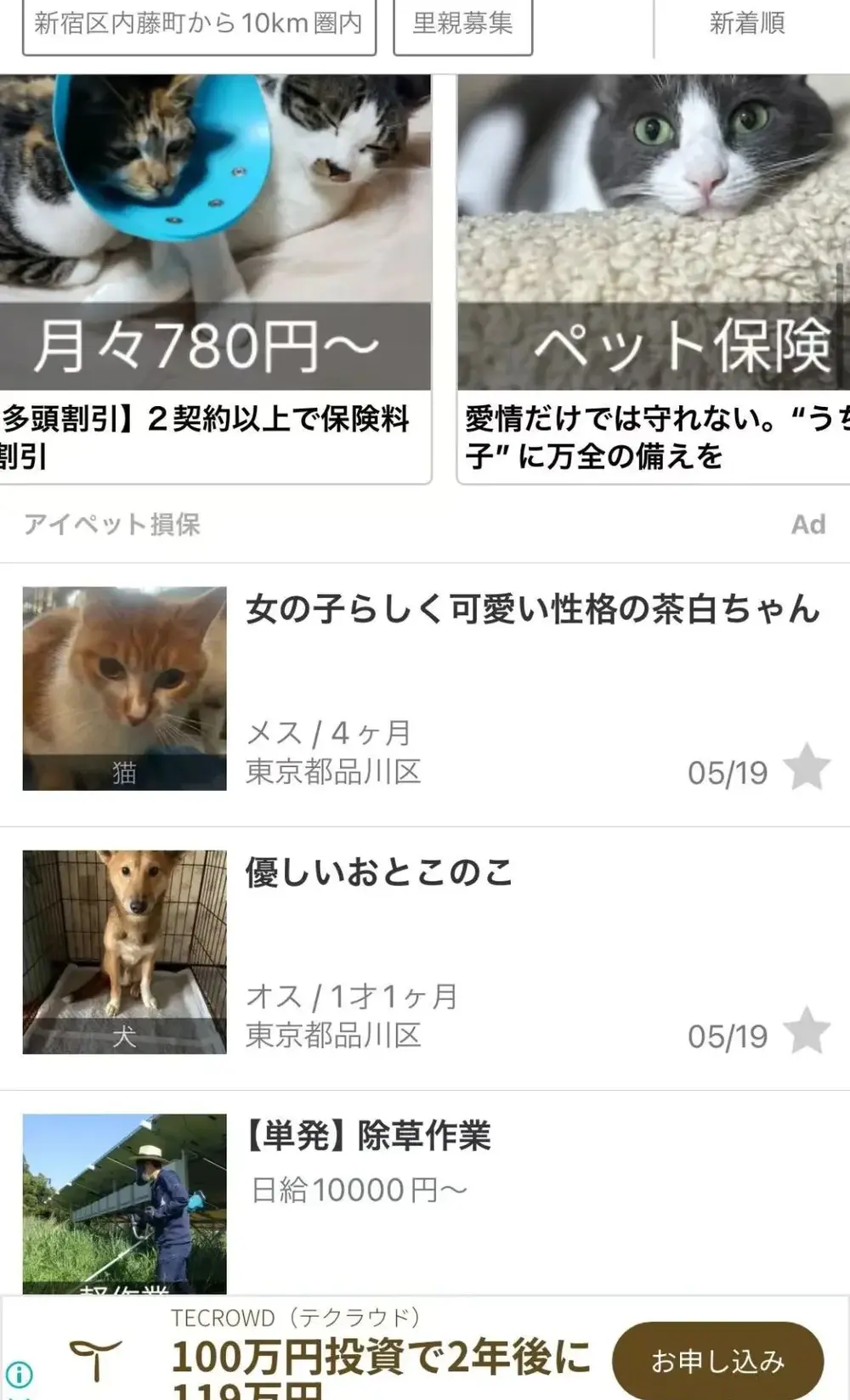 日本“闲鱼”：反效率之极，却让人欲罢不能_日本“闲鱼”：反效率之极，却让人欲罢不能_
